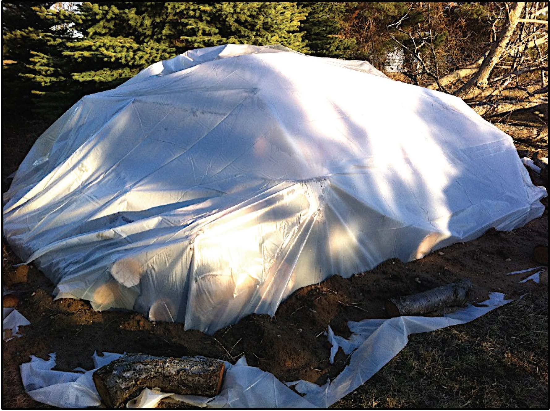 Tarped woodpile